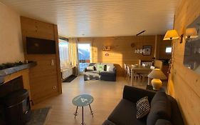 Appartement cosy au pied des pistes